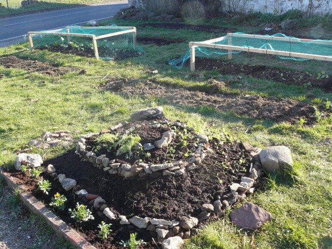 Herb spiral with vegetable beds in the background.